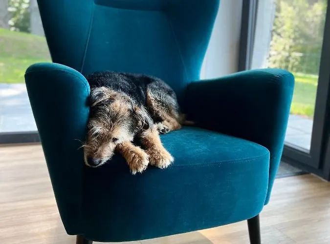 Na Szlaku Apartment *